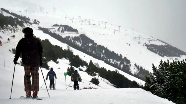 man on skis waiting for group of  skiers to catch up with him, set on a very easy green piste in the french alps, weather is snowing on a cloudy day with trees around the edges,
