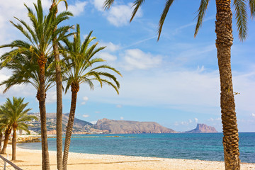 A sandy beach with pal trees under blue skies in autumn. Mediterranean Sea bay surrounded by mountainous ridges.