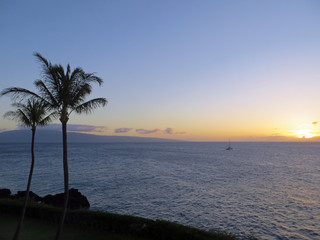 Fototapeta na wymiar Maui Sunset Palm tree Pacific Ocean Island 