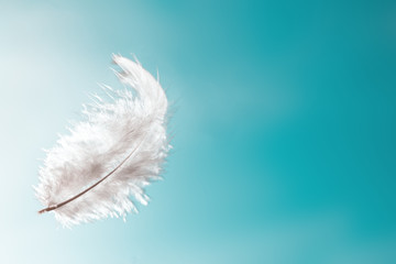 single white feather floating in the air.