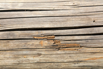 Wood texture and crevice