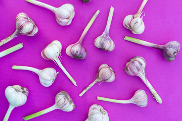 Fresh organic garlic scattered over purple background, top view