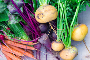 Organic unwashed root vegetables, top view