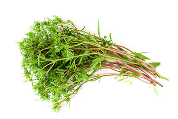 Fresh thyme isolated on white, top view