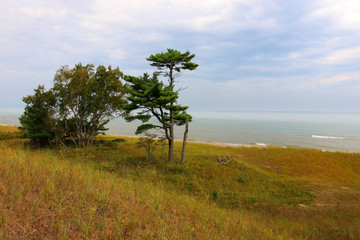 Fototapeta na wymiar Kohler-Andrae State Park,Sheboygan area,Wisconsin, Midwest USA.Landscape with view on the lake Michigan from hiking trail through the sand dunes.Light mist over the water. Wisconsin nature background.
