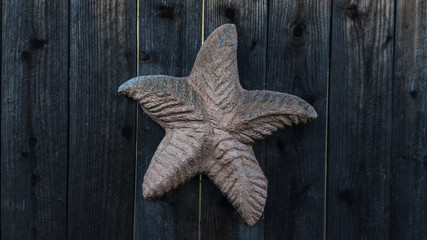 sea star on wooden fence