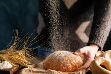 Closeup of homemade rye bread and spikelets in the hand of a man and flour sprinkled on it. The concept of healthy food and traditional bakery.
