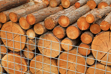 logs in a wire net