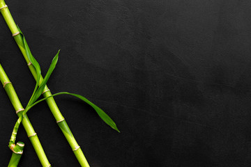 Asian background. Green bamboo branches on black background top view space for text