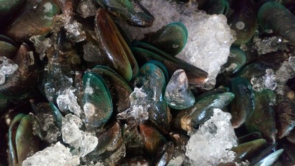 Seafood mussels are soaked in ice to keep them fresh.