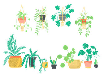 Set of decorative houseplants. Plants and nature homemade flowers in pot interior decoration in flat cartoon style.