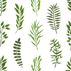 Seamless pattern with green leaves, tropical plants on a white background. Vector illustration.