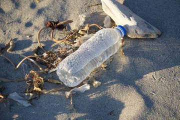 Plastic Pollution on the Beach
