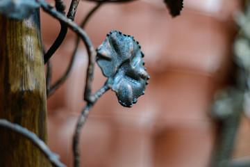 Forged iron trellis decoration for interior