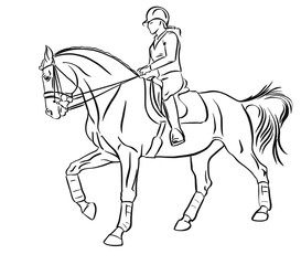 Fototapeta na wymiar Equestrian sport. Young woman riding on a horse.