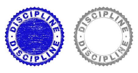 Grunge DISCIPLINE stamp seals isolated on a white background. Rosette seals with grunge texture in blue and grey colors. Vector rubber stamp imprint of DISCIPLINE tag inside round rosette.