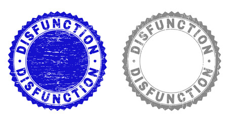 Grunge DISFUNCTION stamp seals isolated on a white background. Rosette seals with grunge texture in blue and grey colors. Vector rubber watermark of DISFUNCTION caption inside round rosette.