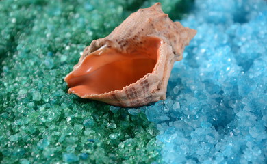 Fototapeta na wymiar Sea shell on the colorful salt background. Spa and body care concept. Dead Sea Salt. Aromatic spa treatment. Natural ingredients for homemade body salt scrub. Beauty and skin care concept.