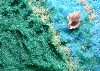 Obraz na płótnie Canvas Sea shell on the colorful salt background. Spa and body care concept. Dead Sea Salt. Aromatic spa treatment. Natural ingredients for homemade body salt scrub. Beauty and skin care concept.
