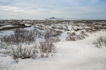 Scenery view of snow covered Dimmuborgir lava field in Mývatn of Northeast iceland in the winter season.