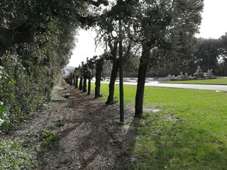 Caserta – Filare di alberi nel Parco della Reggia