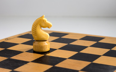 white chess knight on the Board © Irina