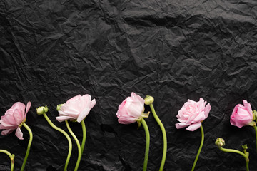 The layout of pink flowers on linni on a black background. Picture of flowers.