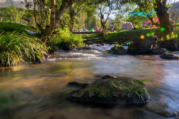 Beautiful brook from waterfalls clear and fresh water are falling down with rock and small green tree in the natural