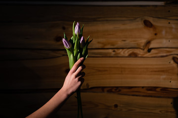 Bouquet of tulips. The girl's hand is holding tulips. Photo with a shadow.