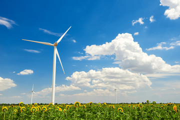 The wind generator in sunflower field. Beautiful landscape with bright cloudy sky. Eco energy...