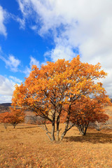 sights of the Ulan prairie in Inner Mongolia, China