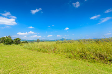 landscape of Savanna Forest and mountain with a blue sky and white clouds in the spring afternoon