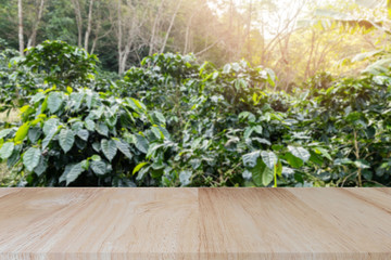 Wooden tabletop on blurred coffee plantations background, can be used for display or montage your products..
