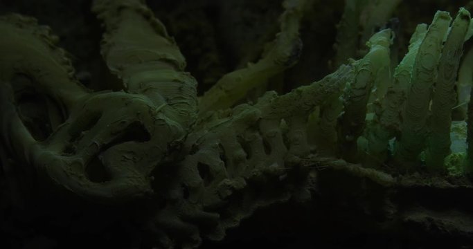 Abstract macro composition. Excavating bones dinosaur in the sand, Skeleton and archaeological find. 4k.