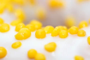 Tasty white donut with yellow round sprinkles. Background, texture. Close up. Macro