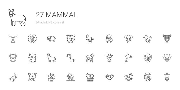 mammal icons set