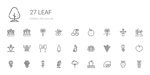 leaf icons set