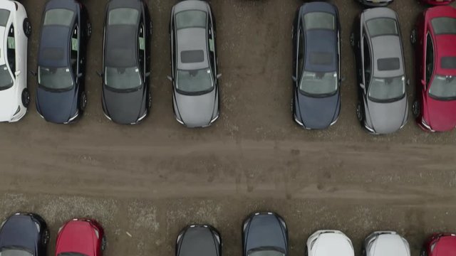 Rows of cars in parking lot