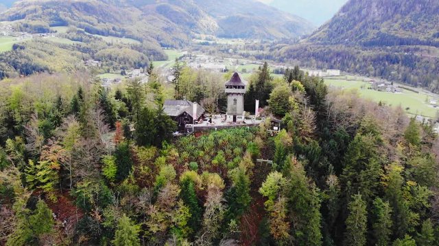 Beautiful forest flight over