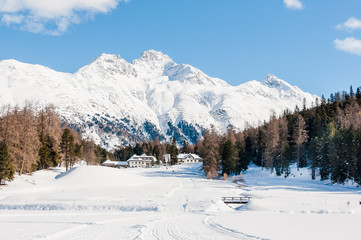 Fototapeta na wymiar St. Moritz, Stazerwald, Stazersee, Alpen, Alp Languard, Piz Languard, Oberengadin, Graubünden, Winter, Wintersport, Schweiz