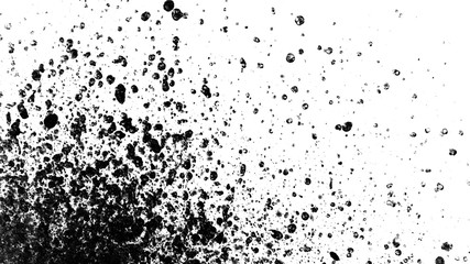 Splash of black drops isolated on white background