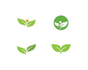 green leaf logo vector