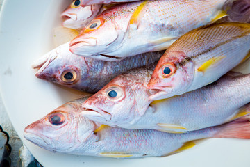 Fresh brown striped snapper for seafood dishes. Fresh fish placed in the market. brown striped snapper on the plate
