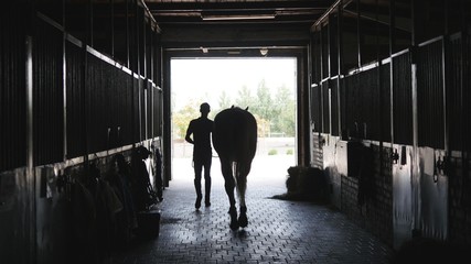 Young jockey walking with a horse out of a stable. Man leading equine out of barn. Male silhouette...