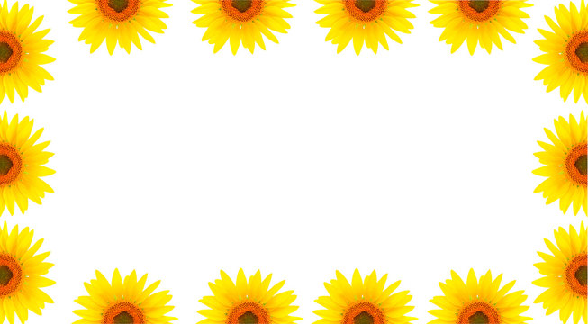 Blank white page decorated with sunflowers