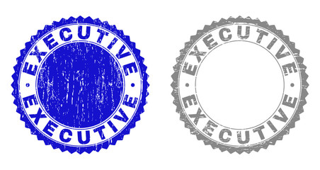 Grunge EXECUTIVE stamp seals isolated on a white background. Rosette seals with distress texture in blue and gray colors. Vector rubber stamp imitation of EXECUTIVE tag inside round rosette.