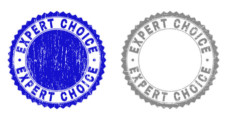 Grunge EXPERT CHOICE stamp seals isolated on a white background. Rosette seals with distress texture in blue and gray colors. Vector rubber stamp imprint of EXPERT CHOICE title inside round rosette.