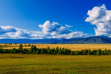 Fototapeta na wymiar Mountain valley, golden autumn panorama landscape, Siberia, Altai Republic, Russia