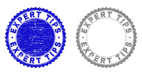 Grunge EXPERT TIPS stamp seals isolated on a white background. Rosette seals with grunge texture in blue and gray colors. Vector rubber stamp imprint of EXPERT TIPS label inside round rosette.