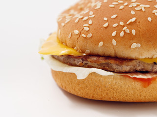 fast food small burger on white background